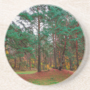Autumn forest coaster