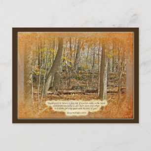 Autumn Forest George Washington Carver Quotation Postcard