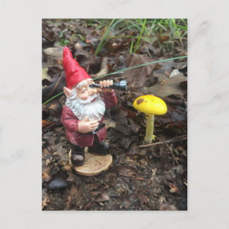 Autumn Forest Gnome Postcard