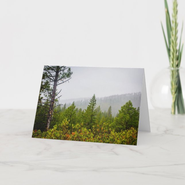 Autumn Forest Greeting Card (Blank) (Front)
