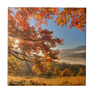 Autumn Forest in the Mountains Ceramic Tile
