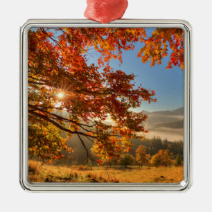 Autumn Forest in the Mountains Metal Ornament