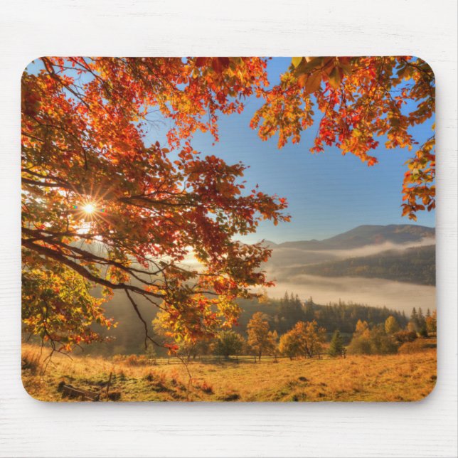Autumn Forest in the Mountains Mouse Pad (Front)