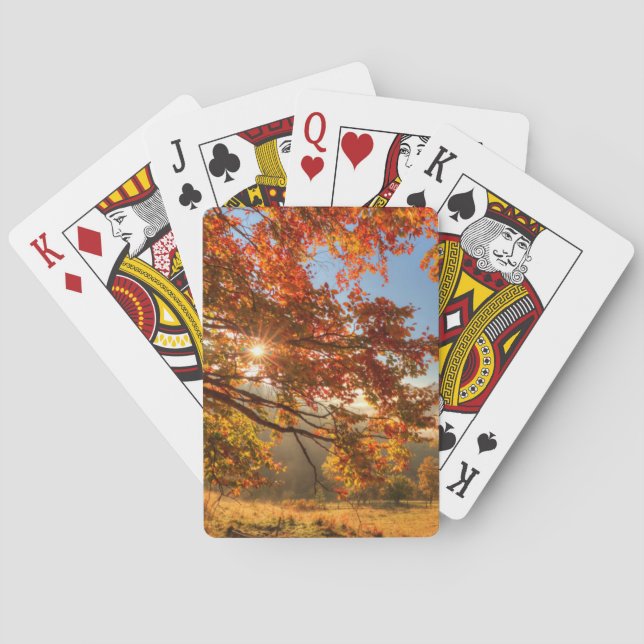 Autumn Forest in the Mountains Playing Cards (Back)