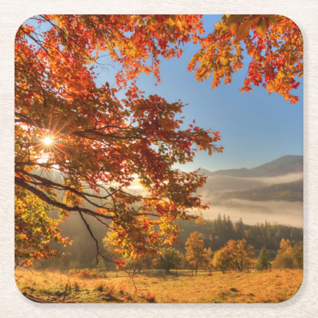Autumn Forest in the Mountains Square Paper Coaster (Front)
