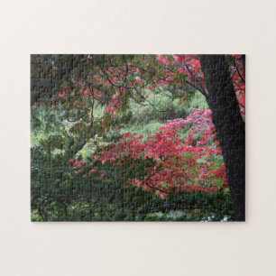 Autumn Forest Jigsaw Puzzle