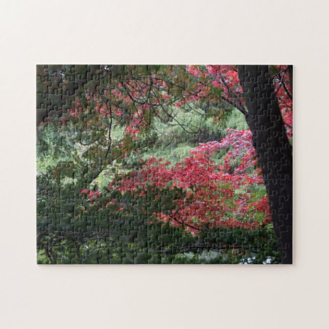 Autumn Forest Jigsaw Puzzle (Horizontal)