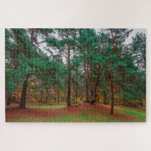 Autumn forest jigsaw puzzle