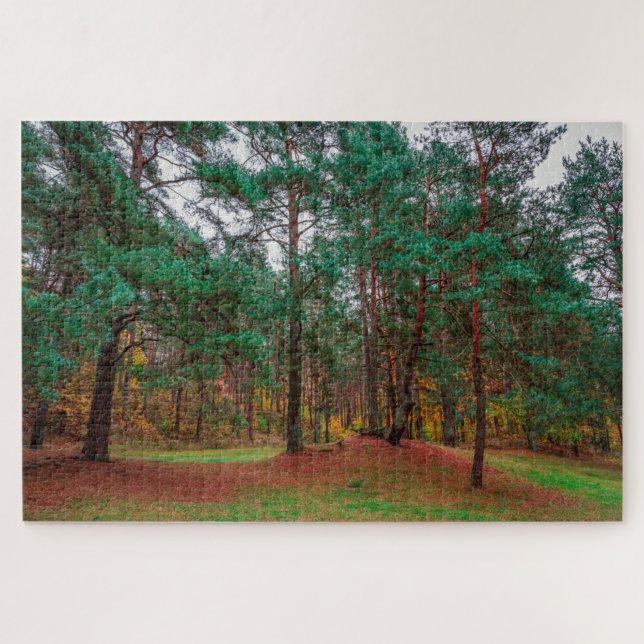 Autumn forest jigsaw puzzle (Horizontal)