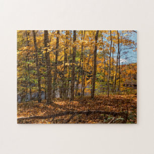 Autumn Forest Jigsaw Puzzle