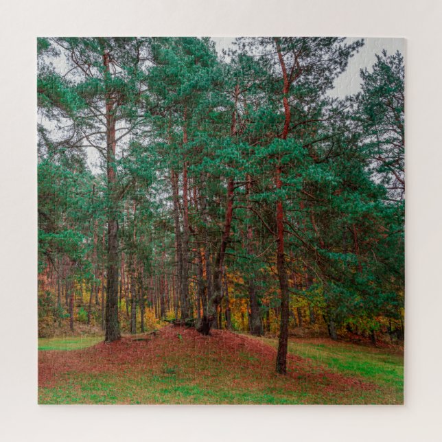 Autumn forest jigsaw puzzle (Vertical)