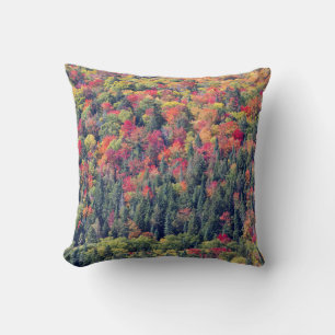 Autumn Forest Landscape Cushion