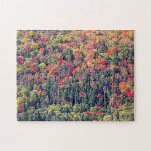 Autumn Forest Landscape Jigsaw Puzzle