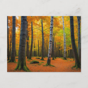 Autumn Forest Landscape Postcard