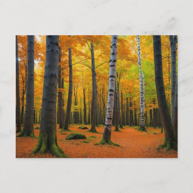 Autumn Forest Landscape Postcard (Front)