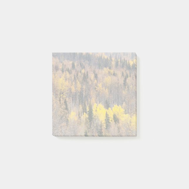 Autumn Forest Landscape with Golden Trees Post-it Notes (Front)