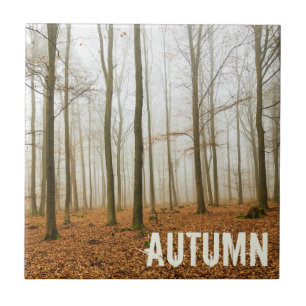 Autumn Forest Mist and Fog Fall Season gift Ceramic Tile