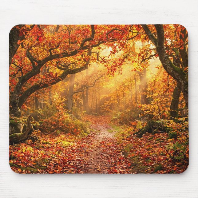 Autumn Forest Mouse Pad (Front)