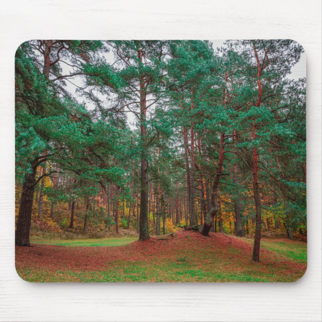 Autumn forest mouse pad (Front)