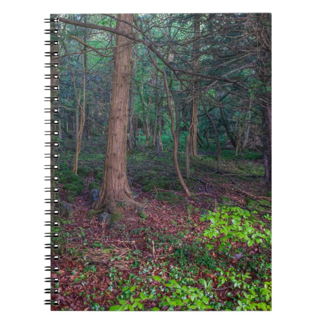 Autumn forest notebook (Front)