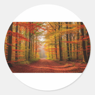 Autumn Forest Path Classic Round Sticker