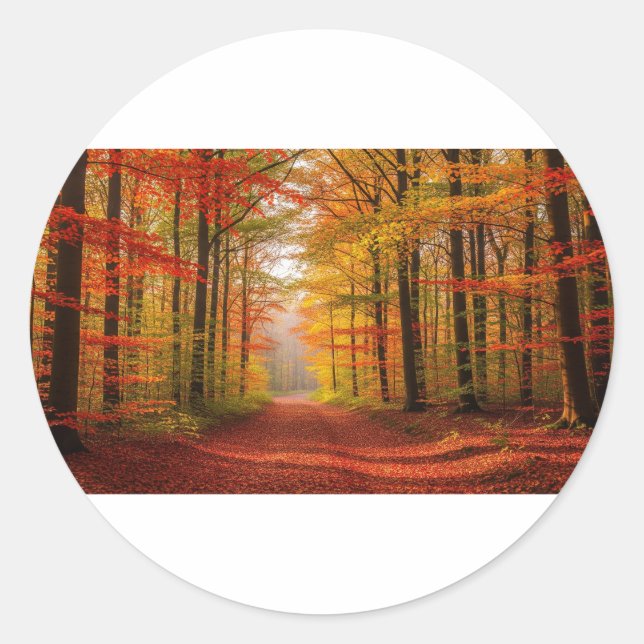 Autumn Forest Path Classic Round Sticker (Front)