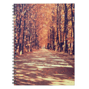 Autumn Forest Path: Tranquil Landscape Journey Notebook