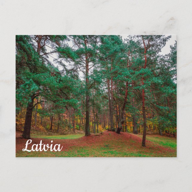 Autumn forest postcard (Front)