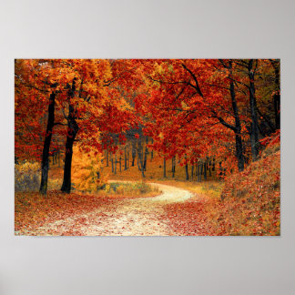 Autumn Forest Poster