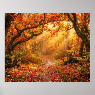 Autumn Forest Poster