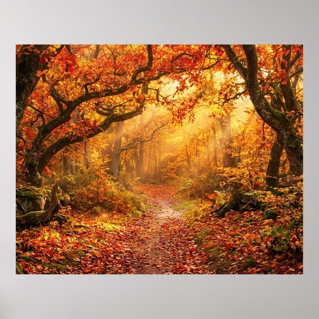 Autumn Forest Poster (Front)