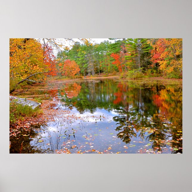 Autumn Forest Reflected in Pond Poster (Front)