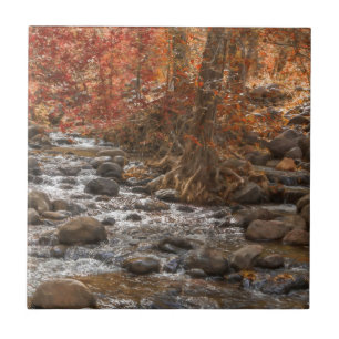 AUTUMN FOREST RIVER SEDONA ARIZONA CERAMIC TILE