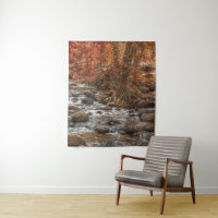 AUTUMN FOREST RIVER SEDONA ARIZONA