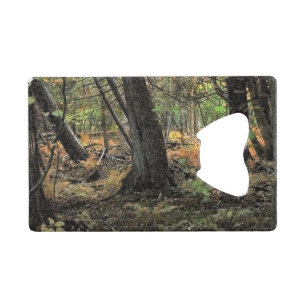 Autumn forest scene