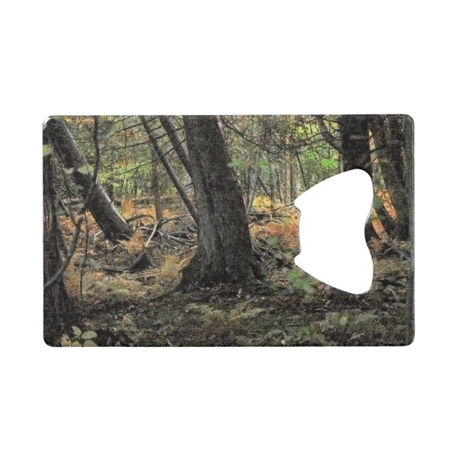 Autumn forest scene      (Front (Horizontal))