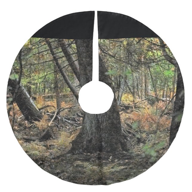 Autumn forest scene          brushed polyester tree skirt (Front)