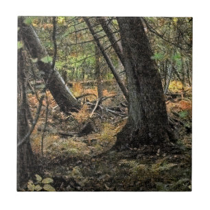 Autumn forest scene ceramic tile
