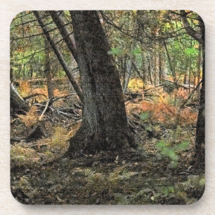 Autumn forest scene coaster