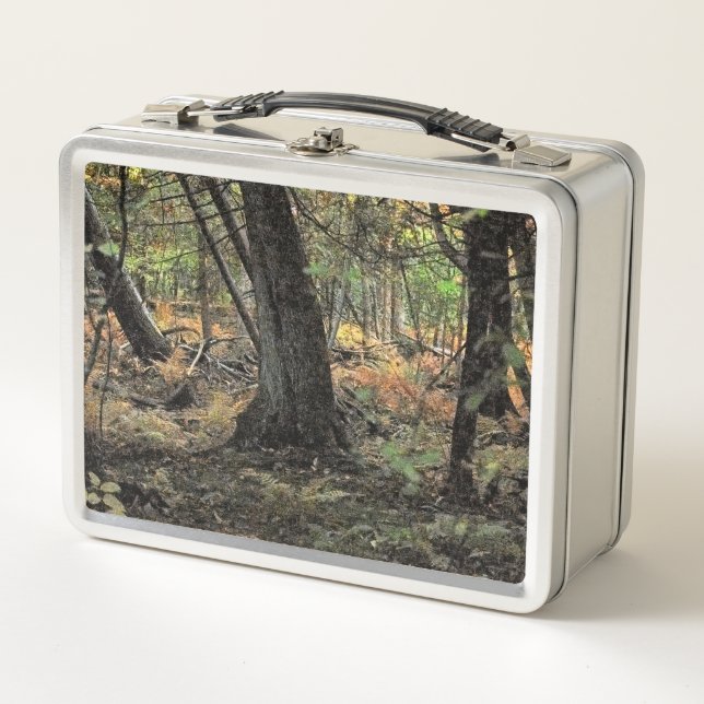 Autumn forest scene  metal lunch box (Front)