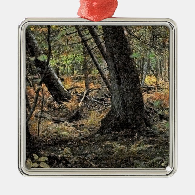 Autumn forest scene                   metal ornament (Front)