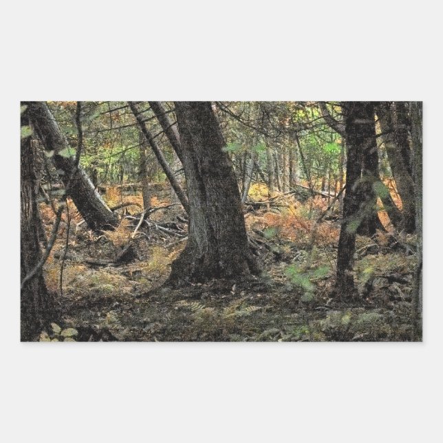 Autumn forest scene               rectangular sticker (Front)