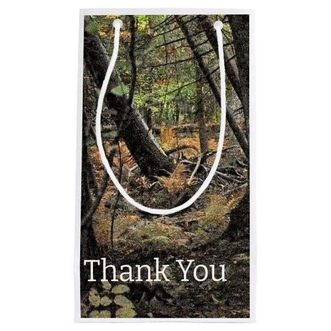 Autumn forest scene             small gift bag (Front)