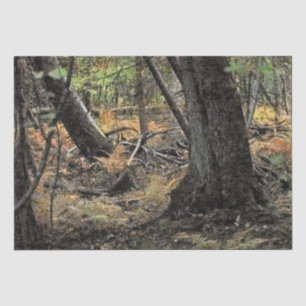 Autumn forest scene            tissue paper