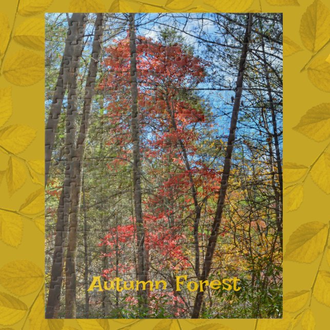 Autumn Forest Scenic Landscape Photographic Jigsaw Puzzle (Creator Uploaded)