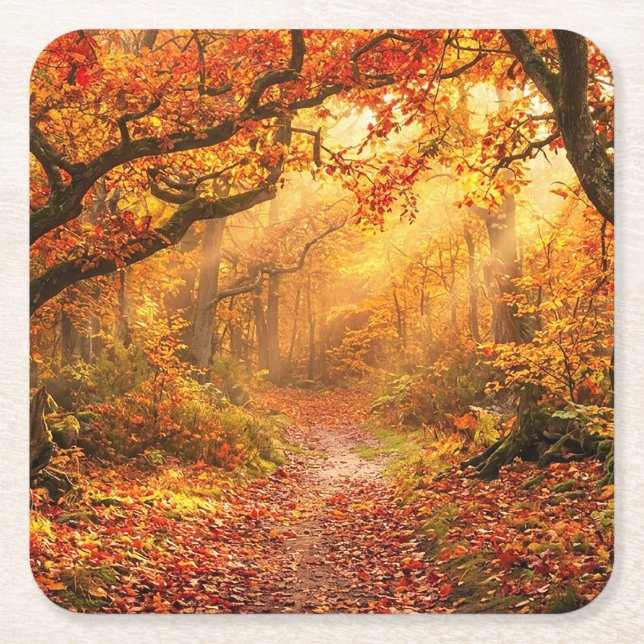 Autumn Forest Square Paper Coaster (Front)
