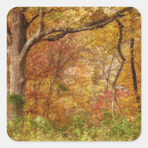 Autumn Forest Square Sticker