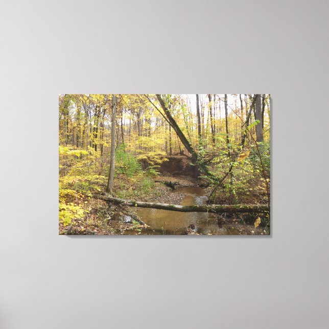 Autumn Forest Stream Canvas Print (Front)