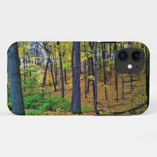 Autumn Forest, West Bend, Wisconsin iPhone 11 Case