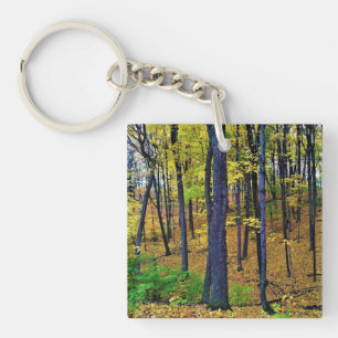 Autumn Forest, West Bend, Wisconsin Key Ring